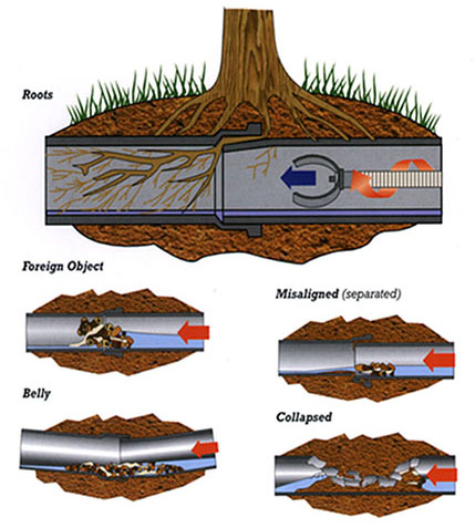 Residential Sewer Roots Diagram | Sewer Line Cleaning Services Vancouver | Miller Plumbing & Drainage Ltd.