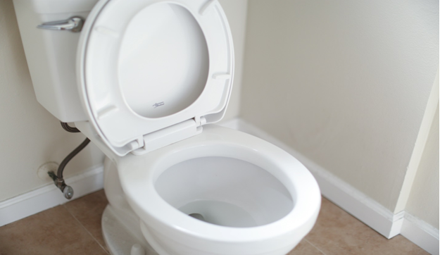 toilet seat repair