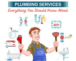 professional plumber