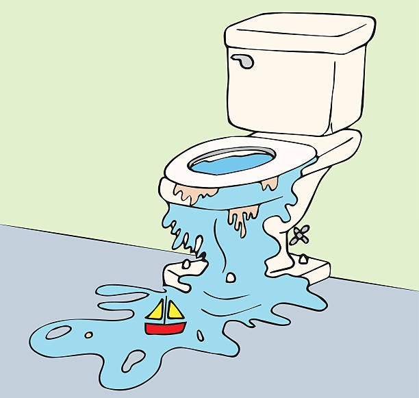 A clogged toilet | Emergency Plumbing Services