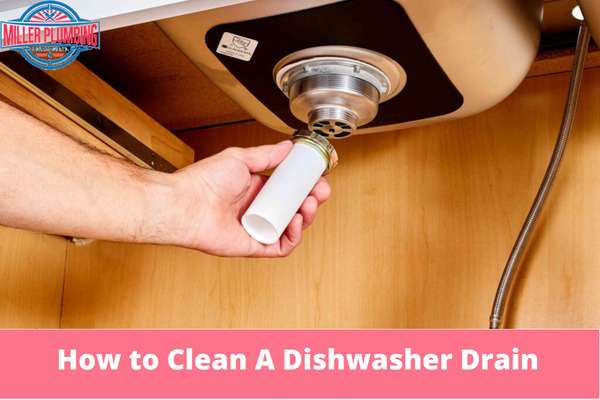 How to Clean A Dishwasher Drain