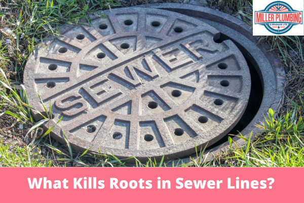 What Kills Roots in Sewer Lines