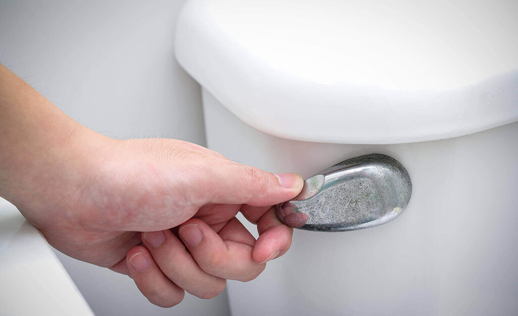 Toilet Flushing Issues | Miller Plumbing & Drainage Ltd.