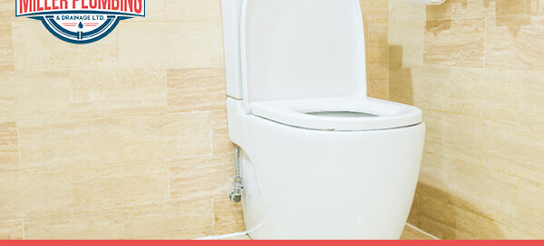 6 Reasons Your Toilet Bowl Water Is Low | Miller Plumbing & Drainage