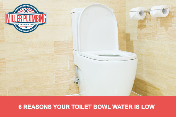 6 Reasons Your Toilet Bowl Water Is Low | Miller Plumbing & Drainage