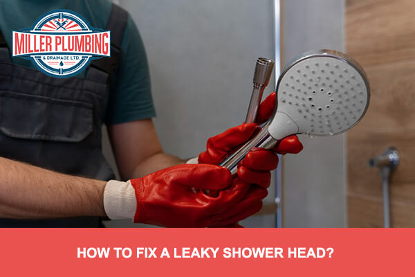 How to Fix a Leaky Shower Head? | Miller Plumbing