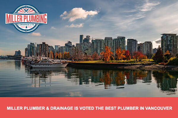 Miller Plumber & Drainage Is Voted The Best Plumber in Vancouver