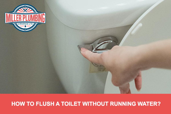 How To Flush A Toilet Without Running Water | Miller Plumbing & Drainage Ltd.